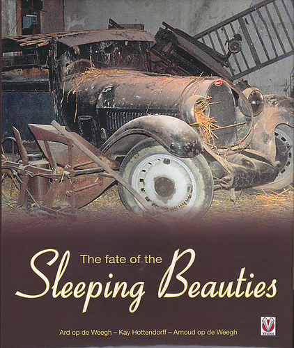 New book wakes up the “Sleeping Beauties”