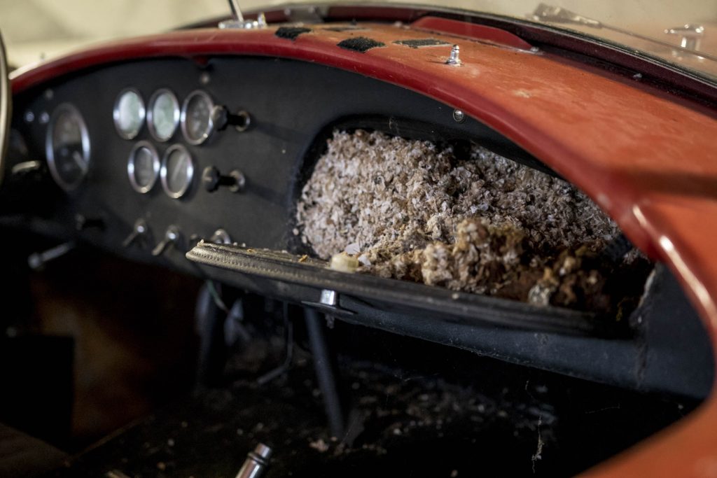 Shelby Cobra glovebox