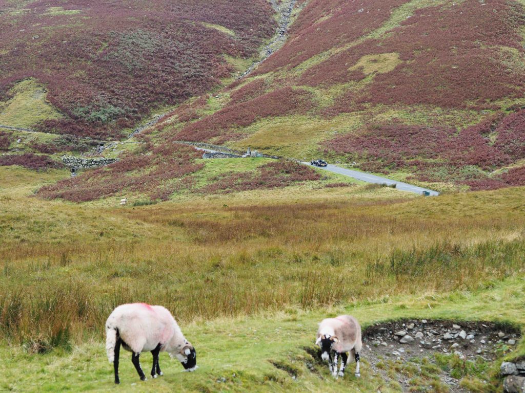 Honister Pass is one of Britain's best roads