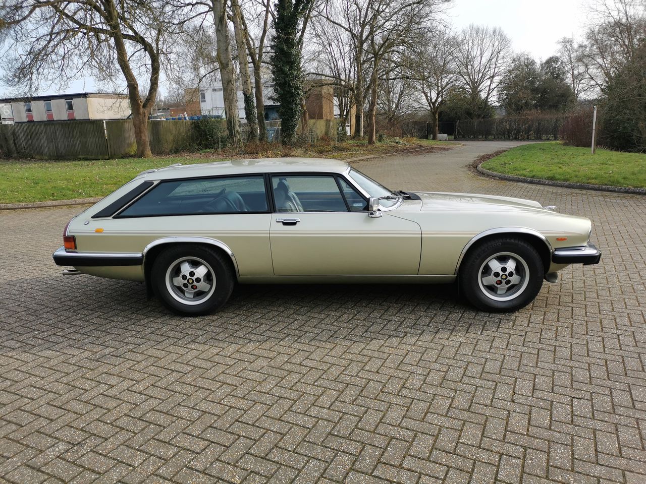 Is this rare Lynx Eventer your idea of shooting brake purr-fection?