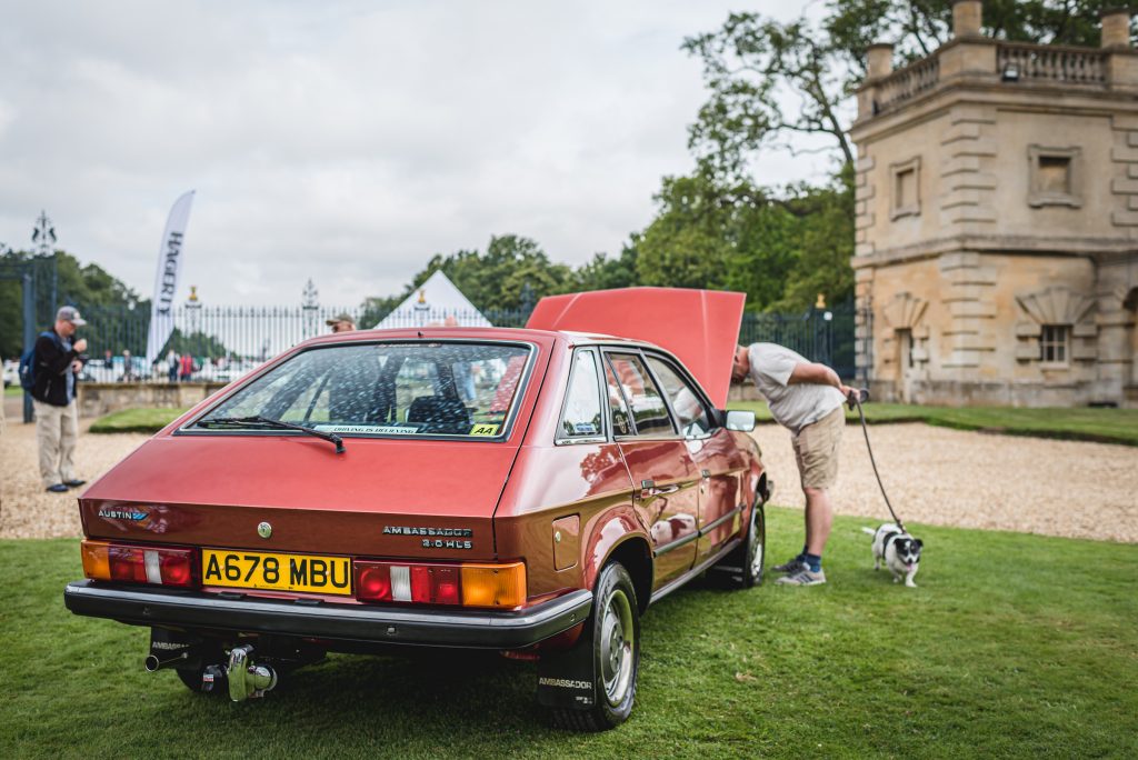 Austin Ambassador