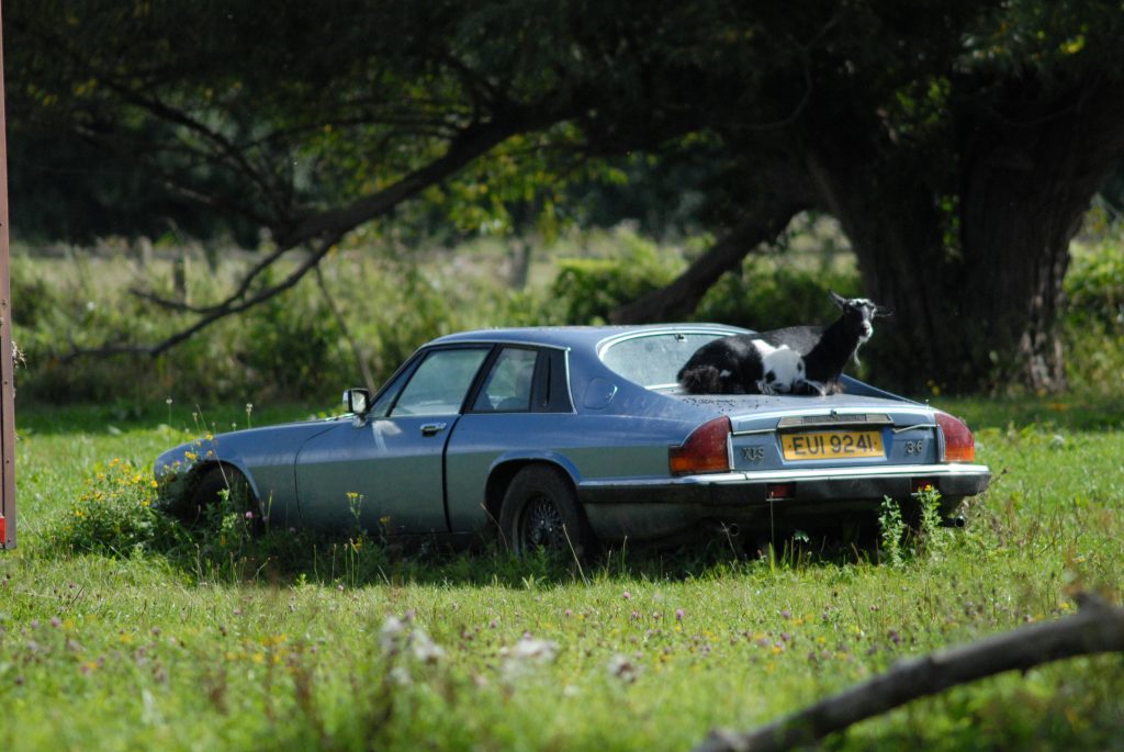 How not to build a car_Hagerty