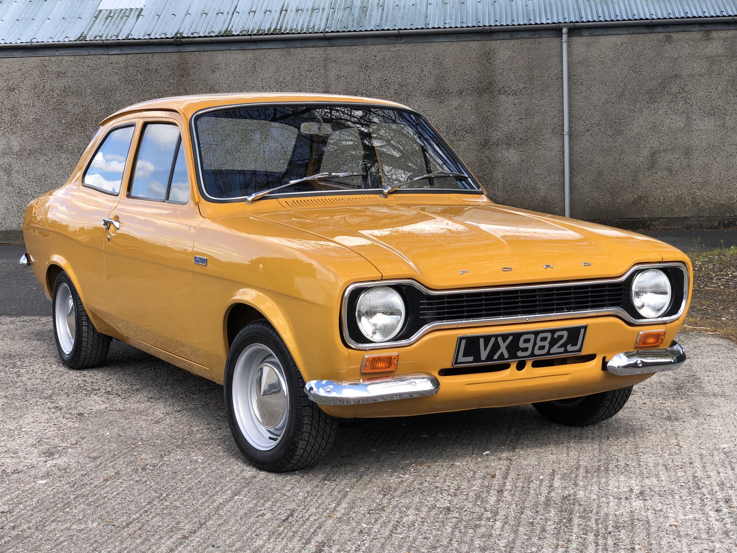 Outstanding in its field: Maize yellow Escort RS1600 heads to auction