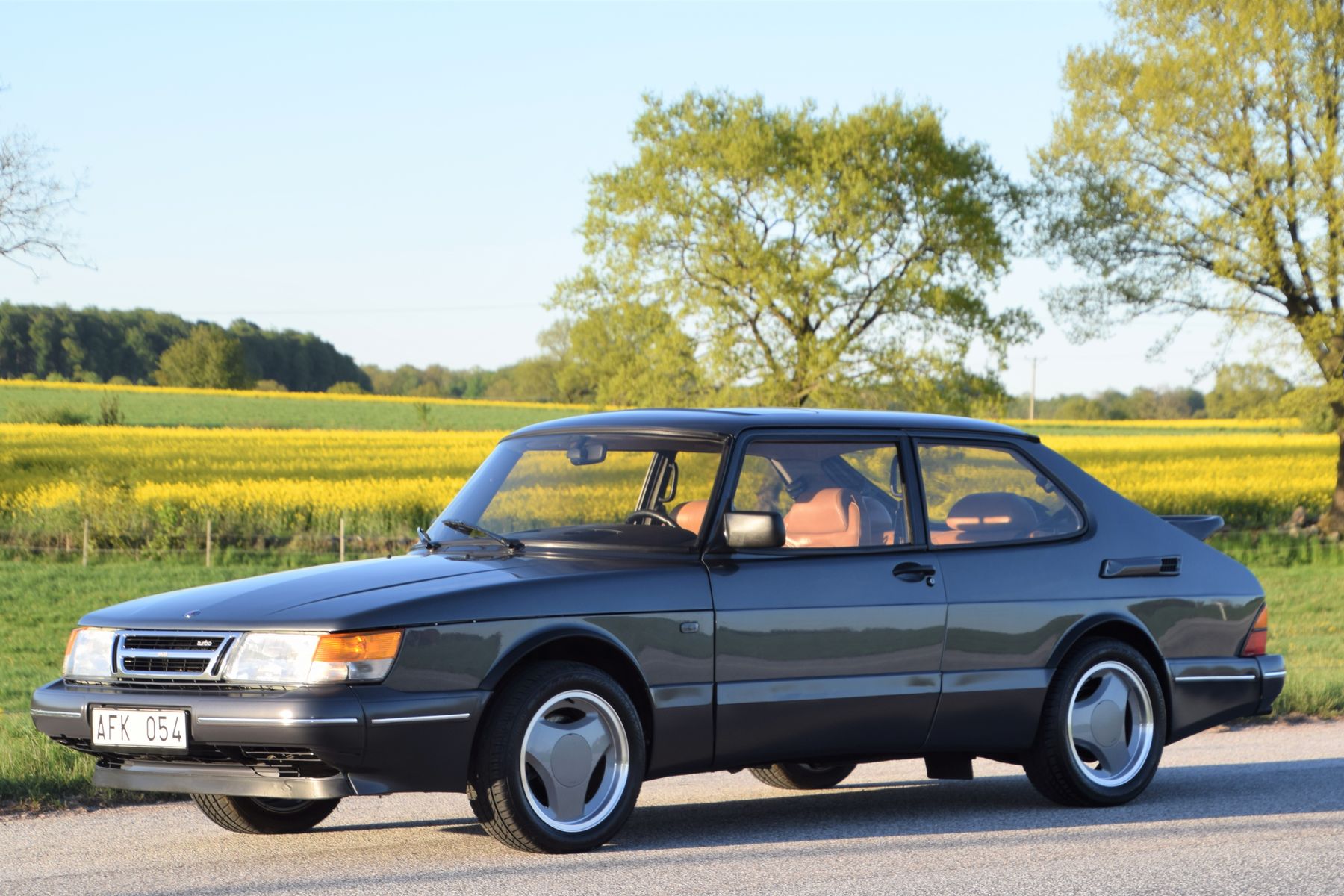 Giant collection of Saabs heads to auction