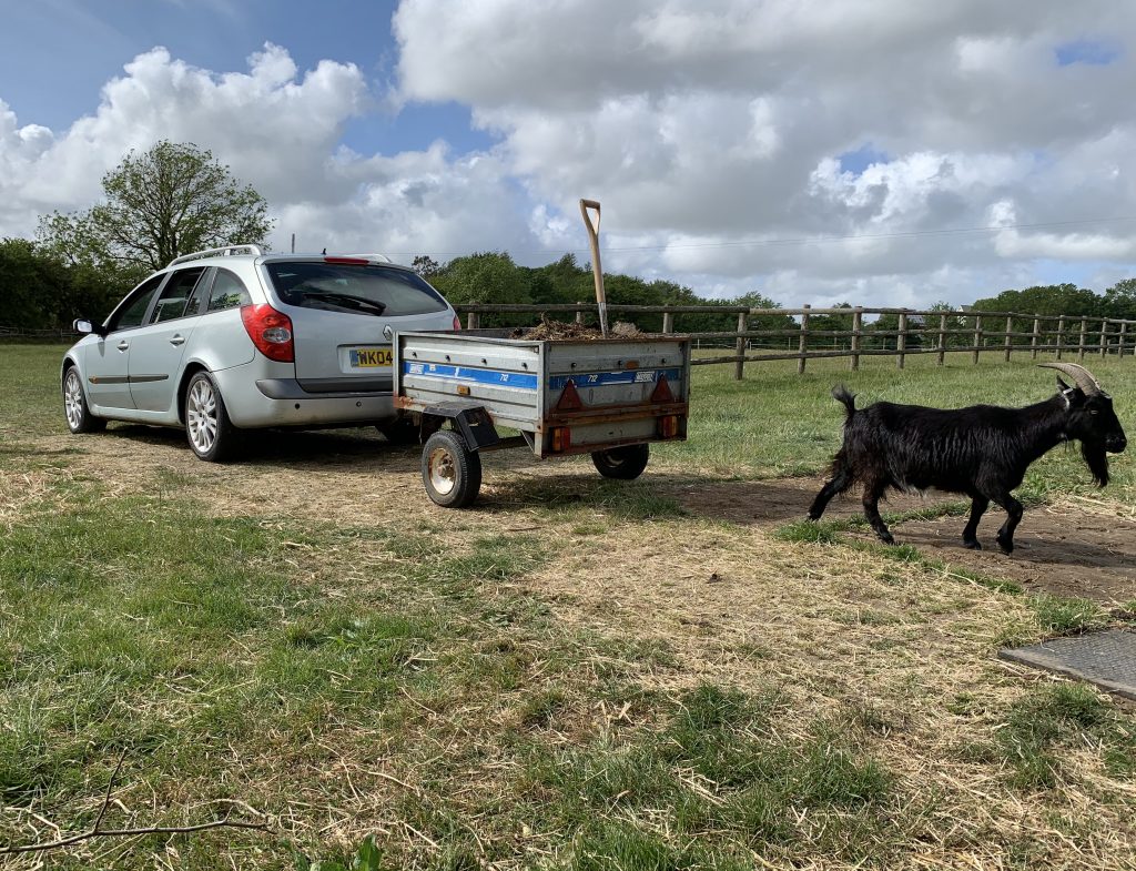 Renault Laguna makes a great off-road workhorse