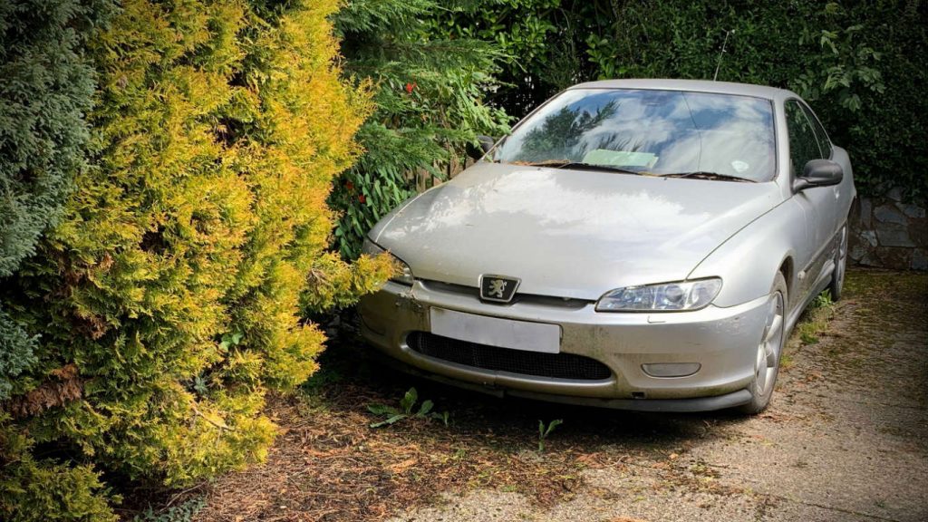 Peugeot 406 Coupe hedge