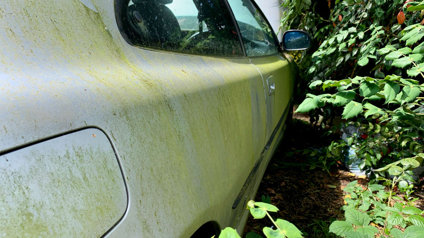 Peugeot 406 Coupe moss