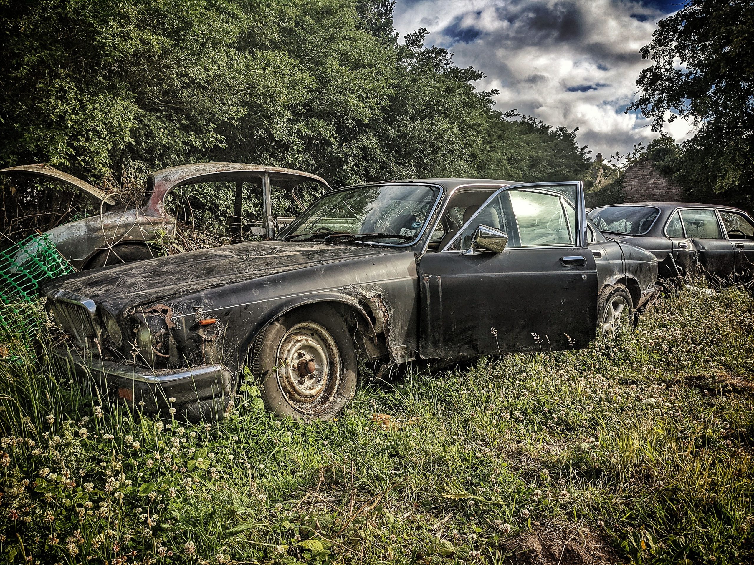 Abandoned Jaguars