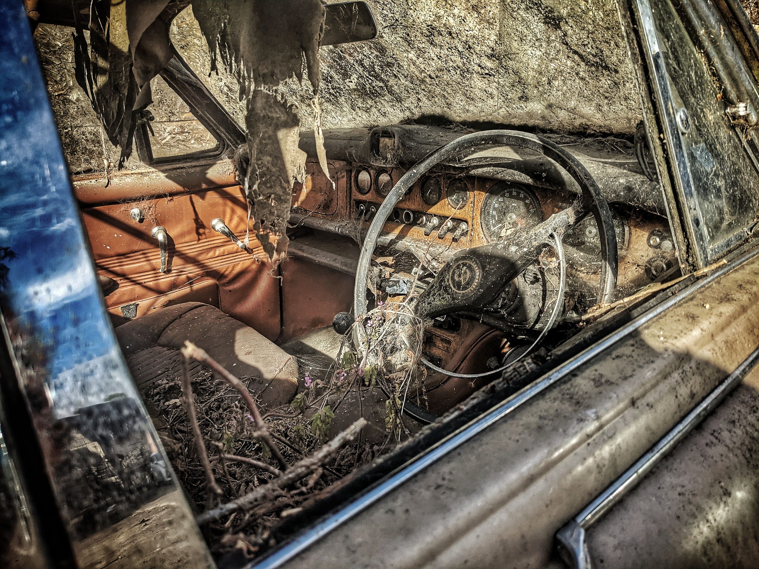 Abandoned Jaguars