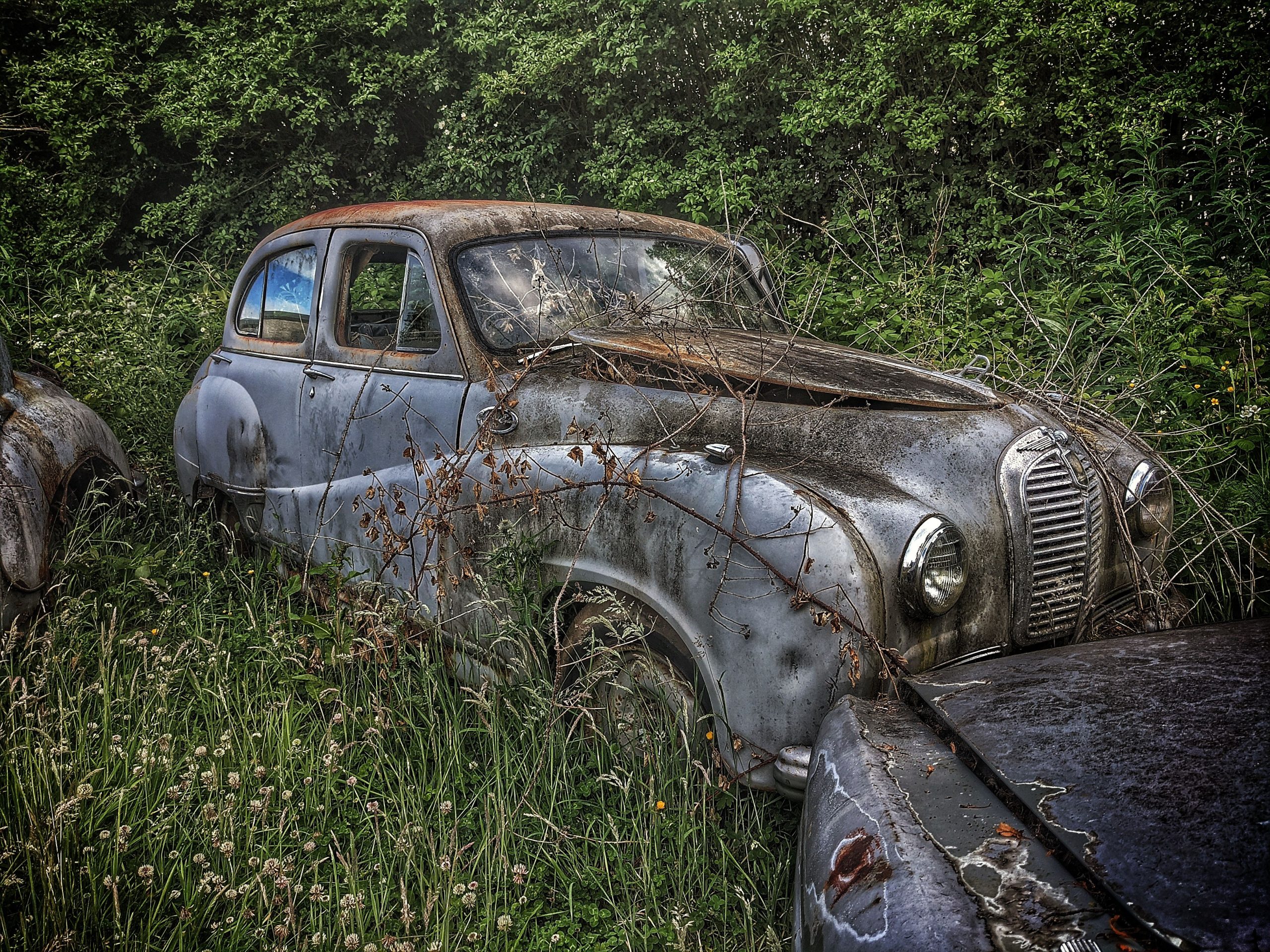 Austin barn find