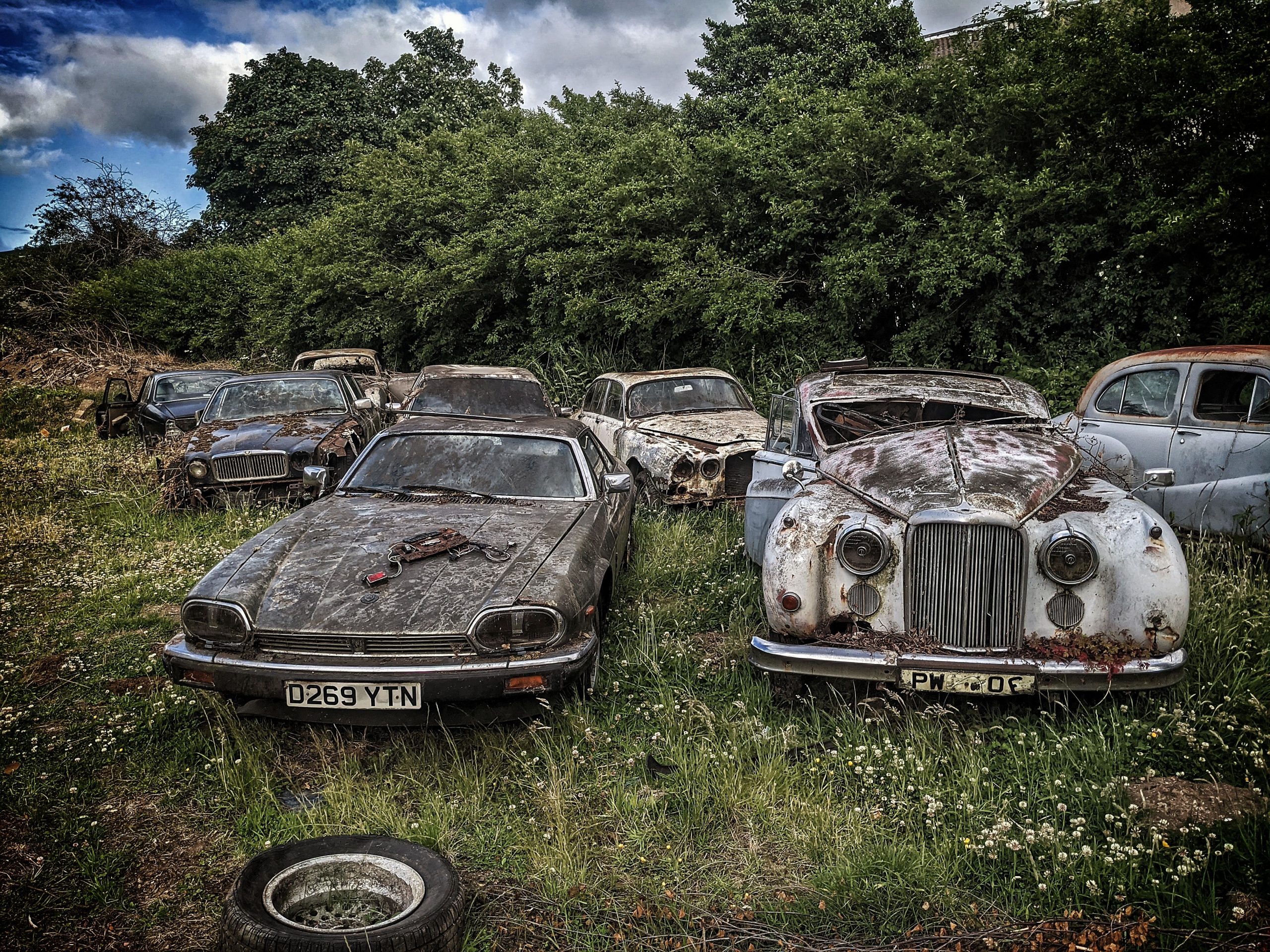 Jaguar barn find