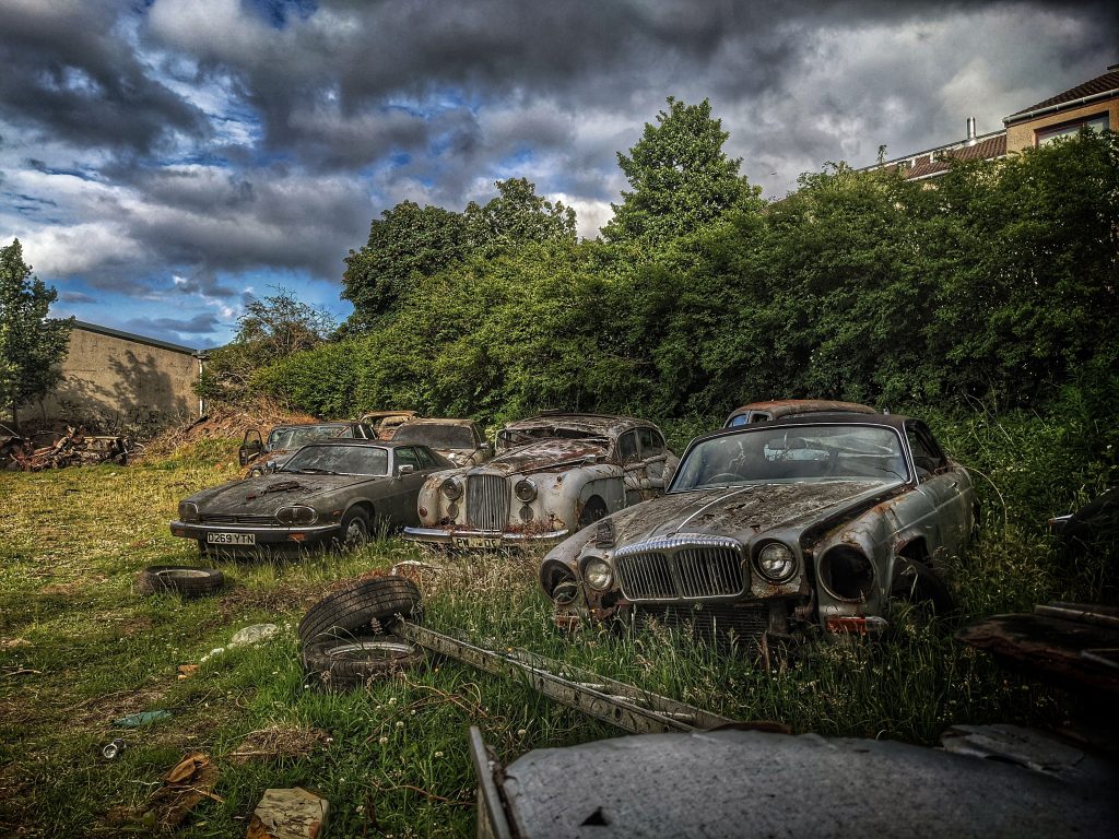 Jaguar barn find