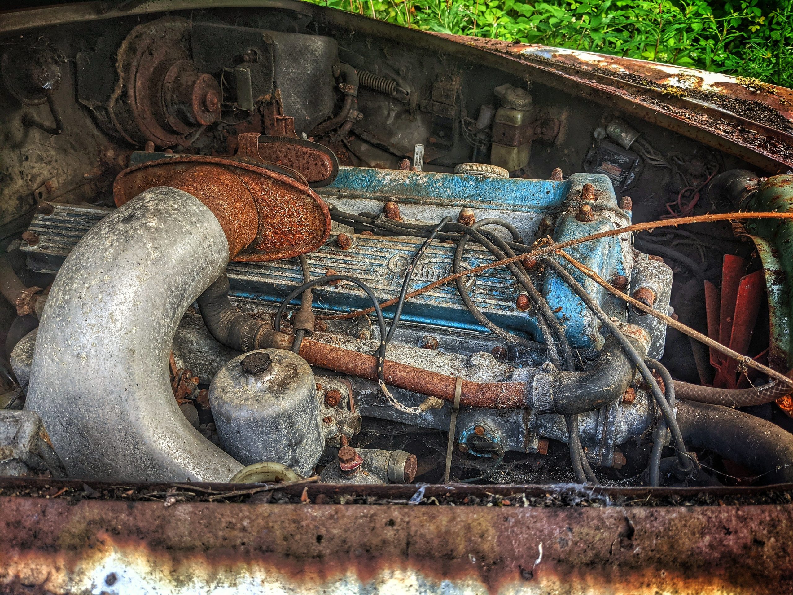 Abandoned Jaguars