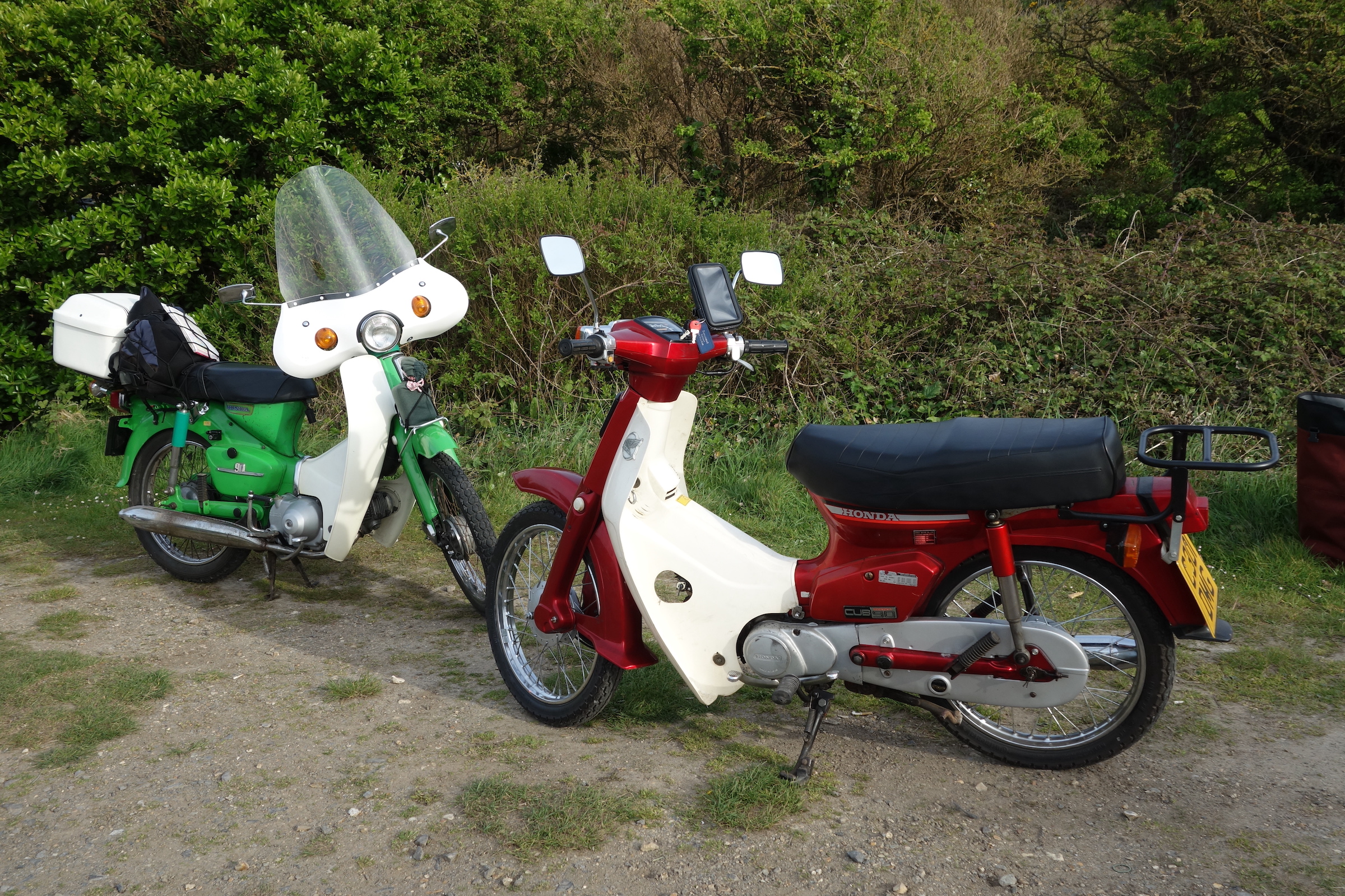 Andrew English Honda Cub