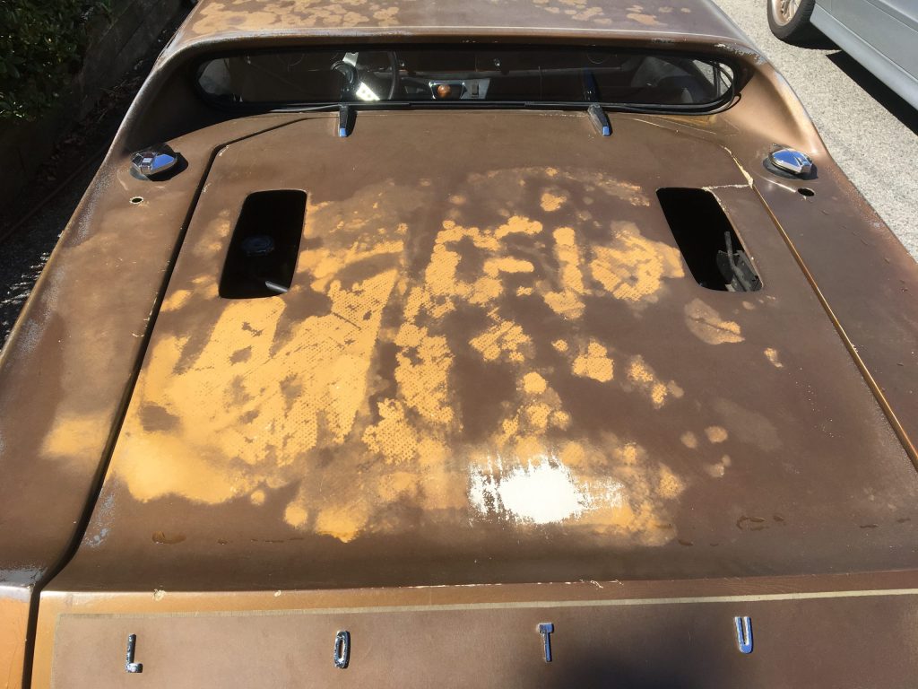 Rob Siegel Lotus Europa paint