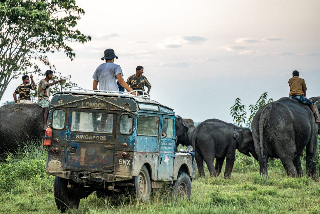 The Last Overland road trip