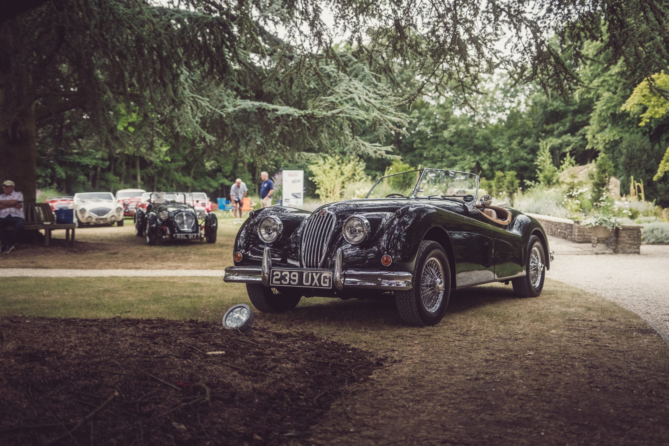 Yorkshire Elegance