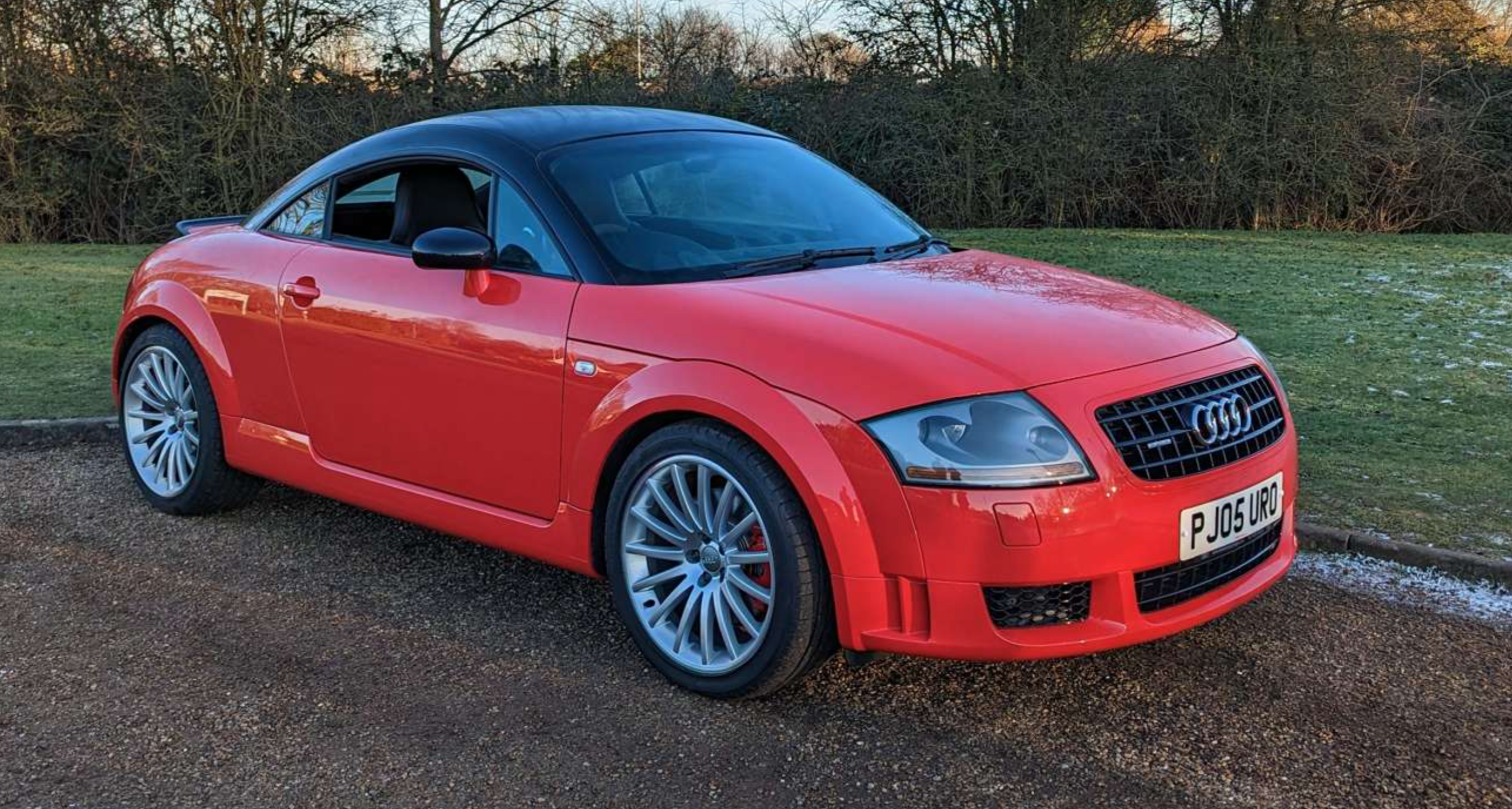 Bull Market List stars: Audi TT Quattro Sport sells for 