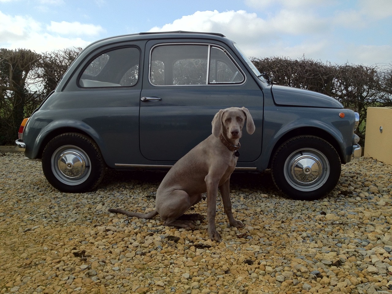 Racing driver Darren Turner misses pottering about in a classic Fiat 500
