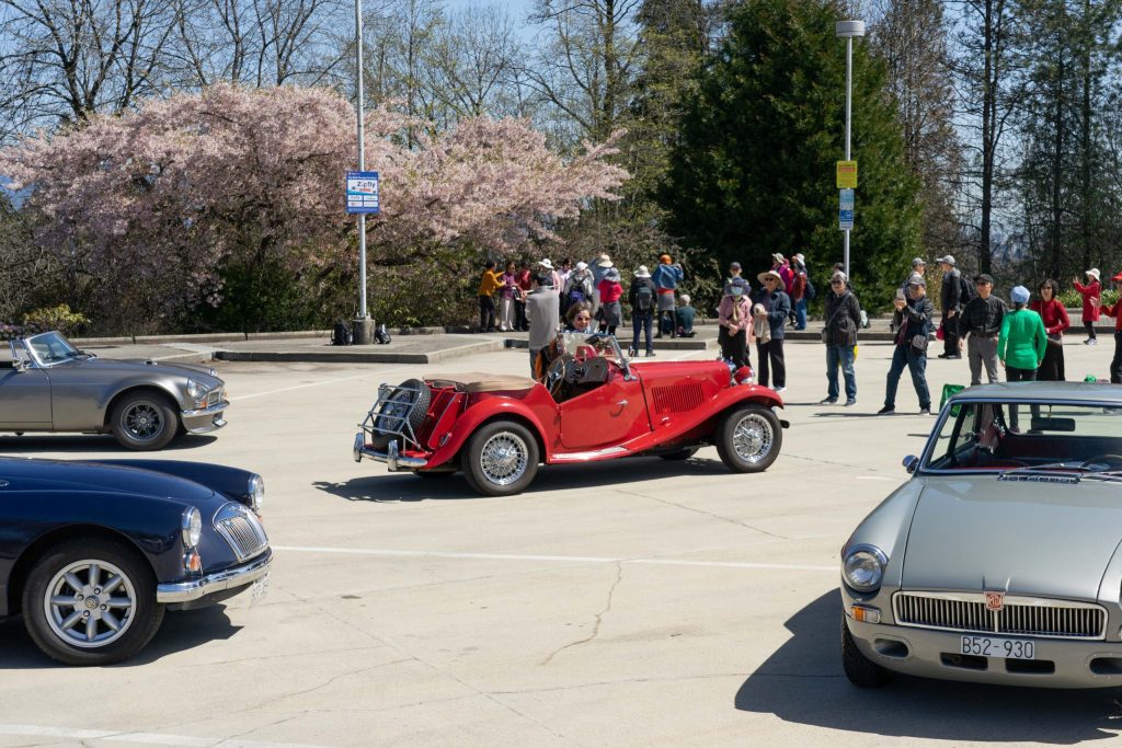 MG T-series Midget