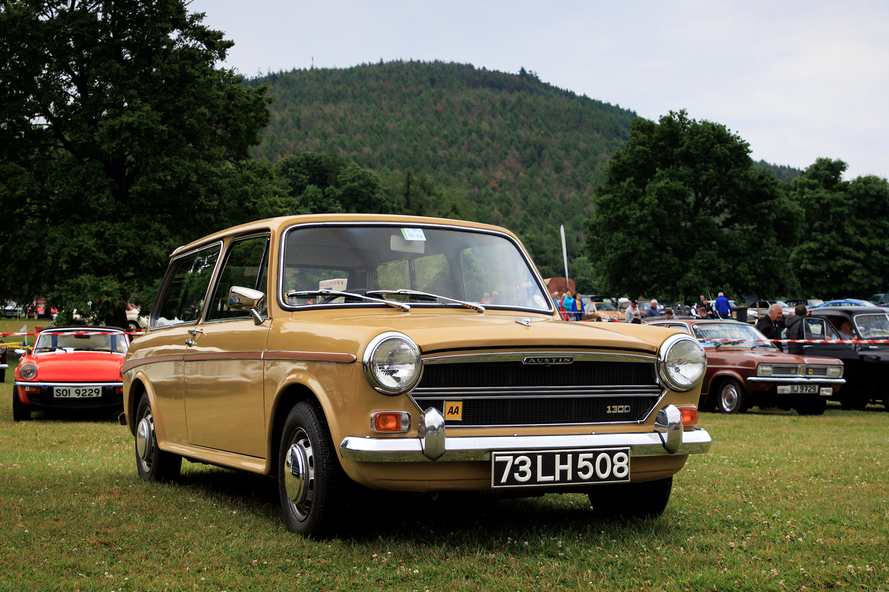 Kilbroney Vintage Show car show