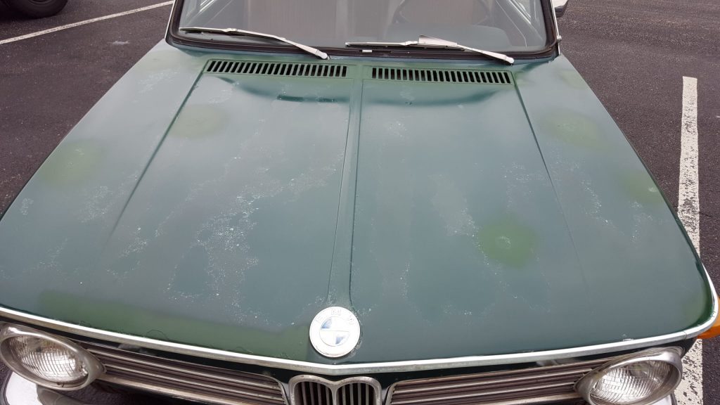 BMW 2002 hood