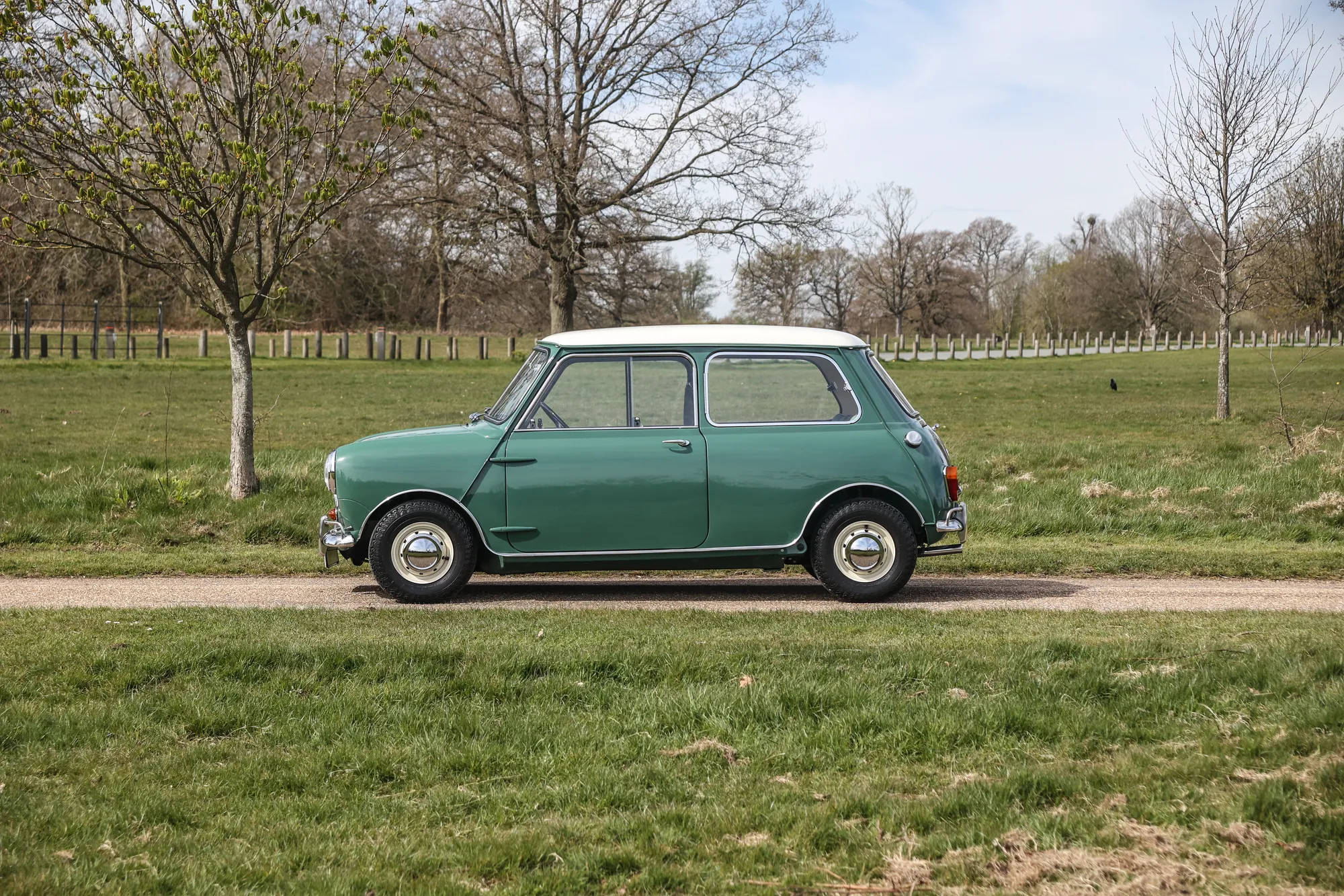 1965 Mini Cooper S profile