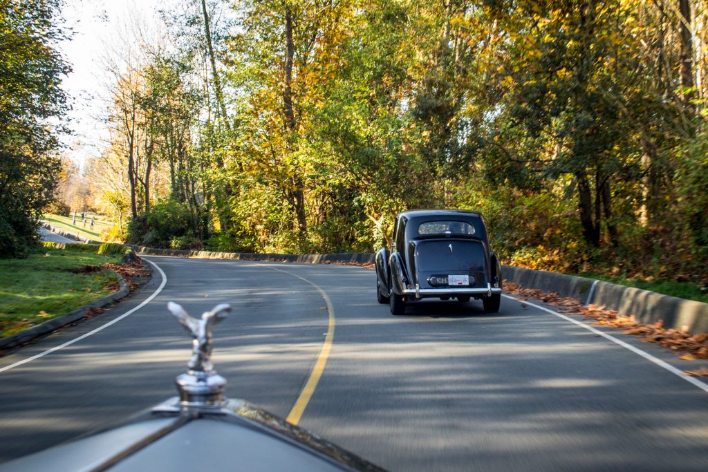 Car Collector Ms Helen vintage sedans driving country road