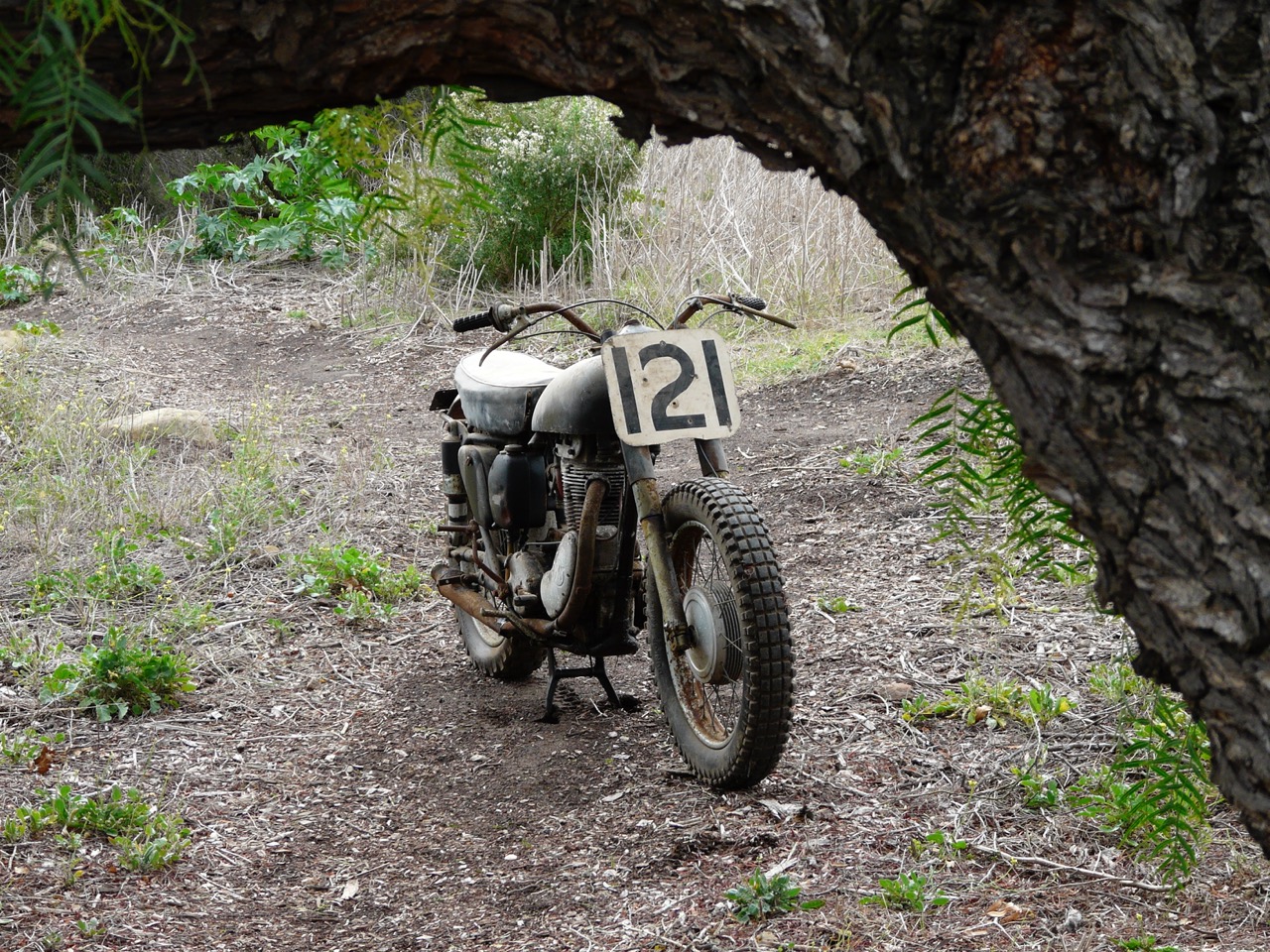 1955 Matchless G80 CS: Alone Again, Naturally